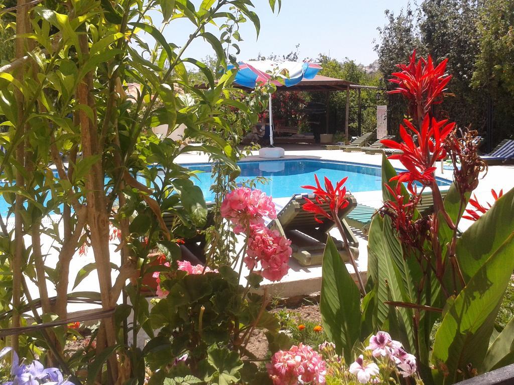 Paradise Garden Gumusluk Evleri Aparthotel Exterior photo